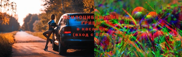 2c-b Алексин